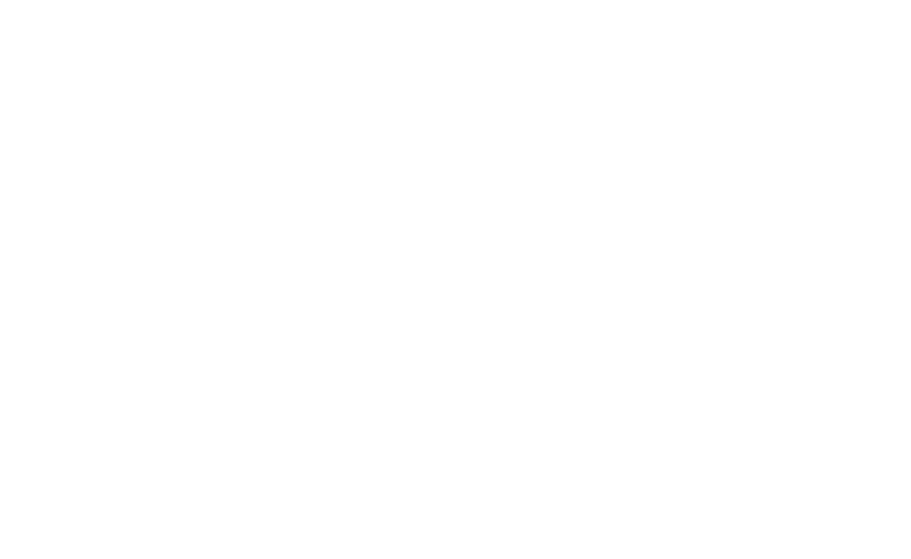 Saporizza